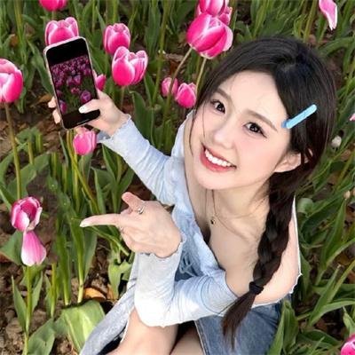 狗的生涯